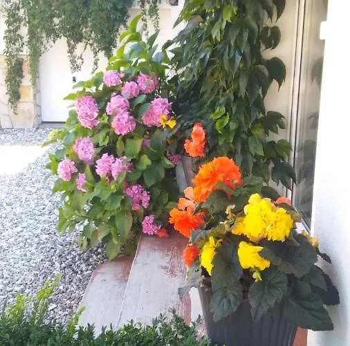 民宿 Morska Bryza -pokoje Goscinne Na Trasie R10 达尔沃沃